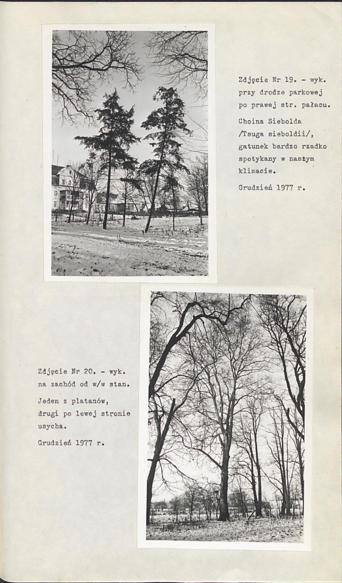 Ewidencja parkowa, skan nr 35