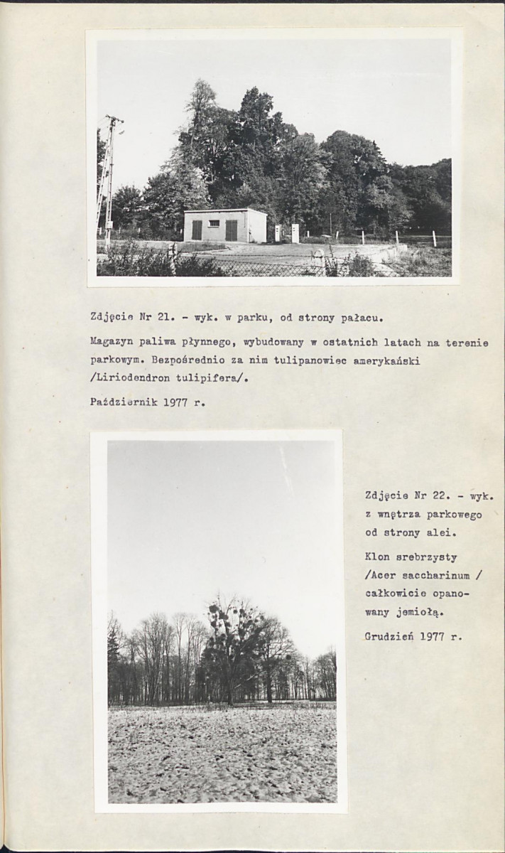 Ewidencja parkowa, skan nr 36