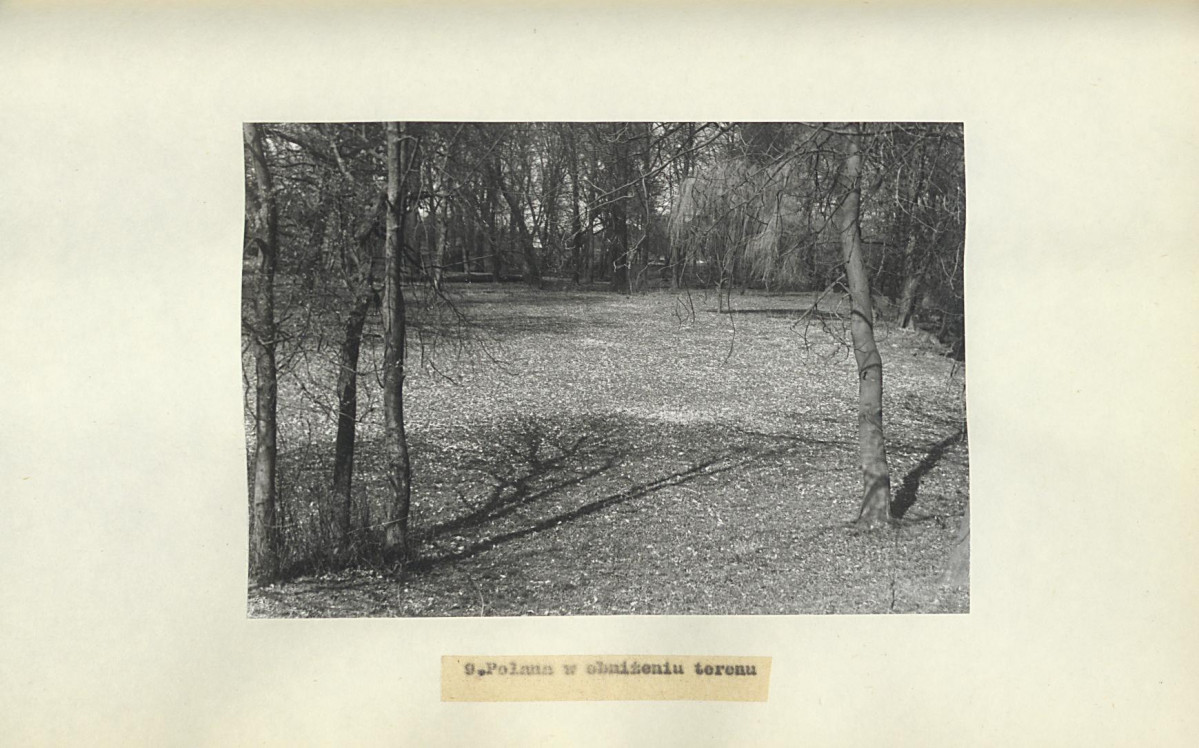 EP - Ewidencja parkowa, skan nr 20