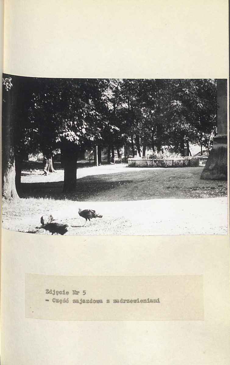 EP - Ewidencja parkowa, skan nr 40