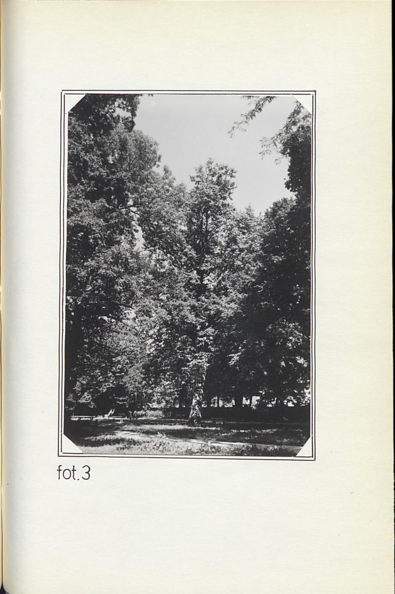 EP - Ewidencja parkowa, skan nr 23