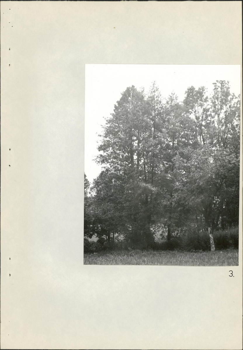 EP - Ewidencja parkowa, skan nr 23