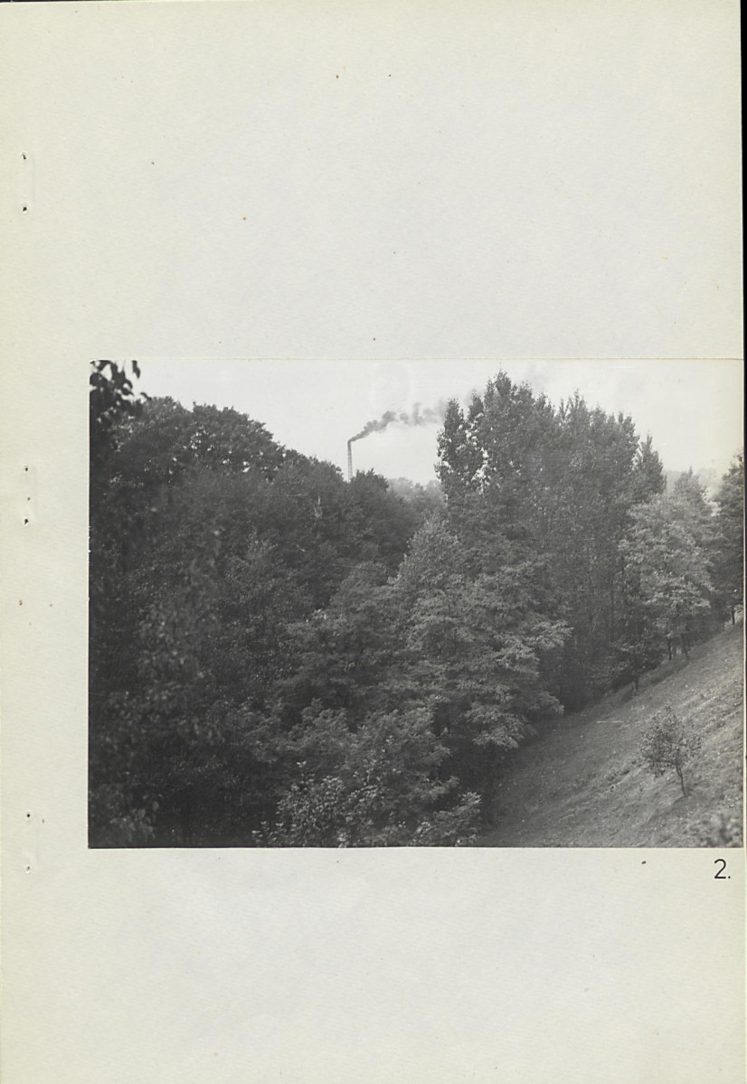 Ewidencja parkowa, skan nr 28