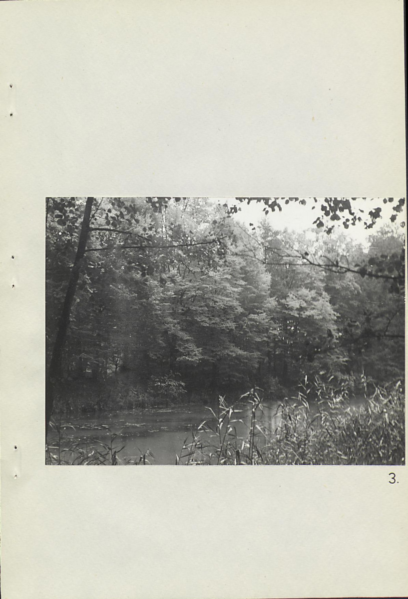 Ewidencja parkowa, skan nr 29