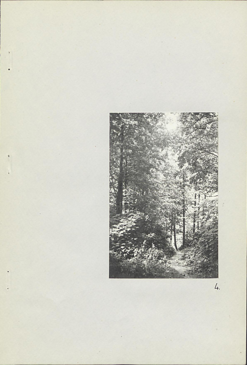 Ewidencja parkowa, skan nr 30