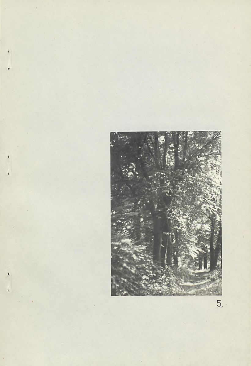 Ewidencja parkowa, skan nr 31