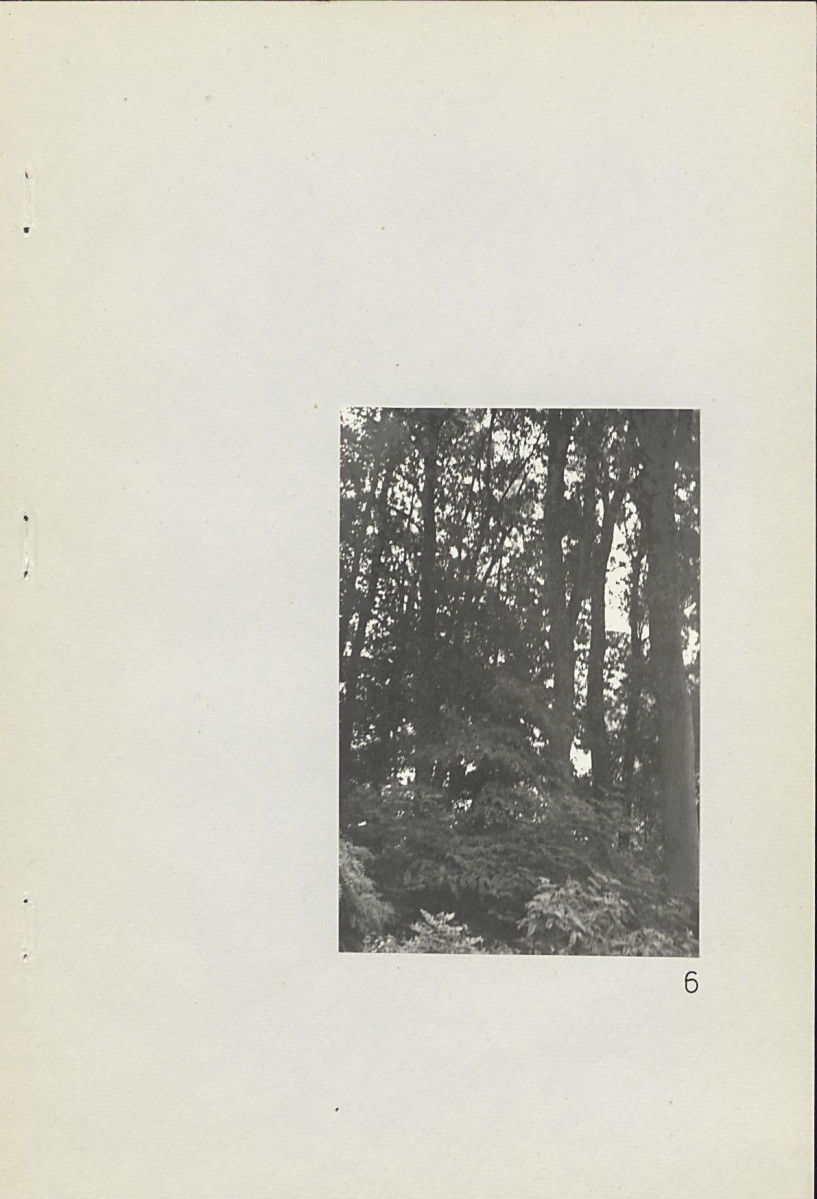 Ewidencja parkowa, skan nr 32