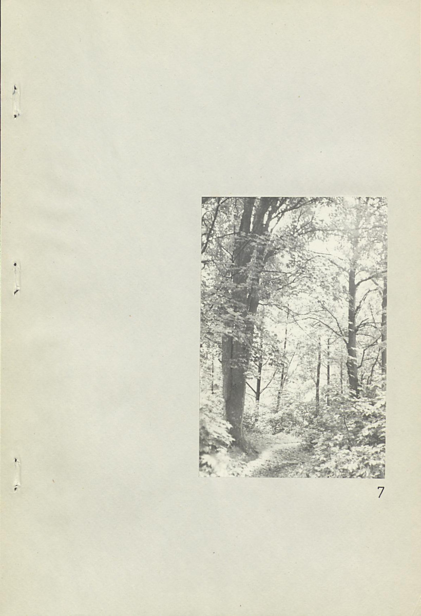 Ewidencja parkowa, skan nr 33