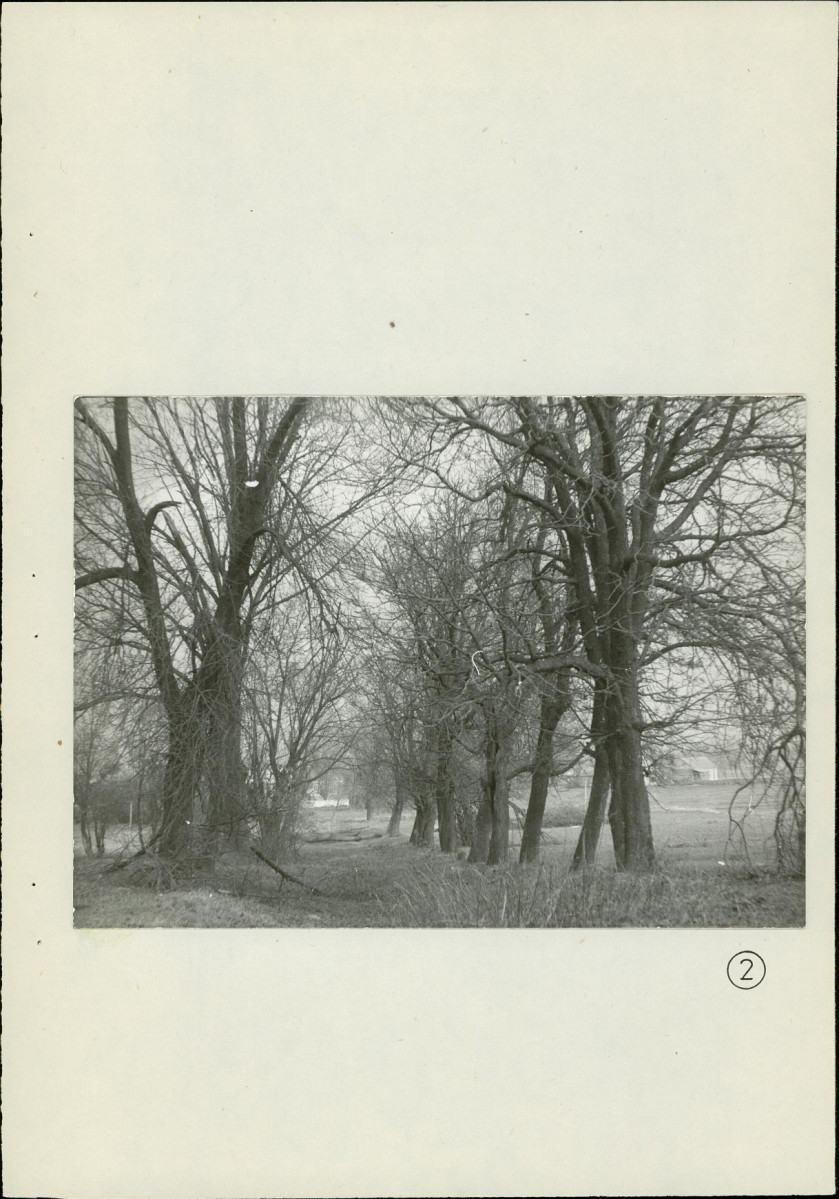 Ewidencja parkowa, skan nr 39
