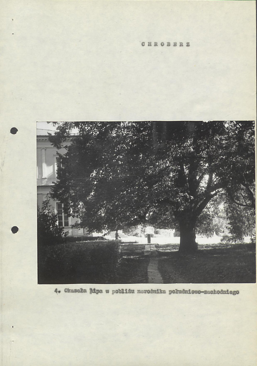 Ewidencja parkowa, skan nr 18