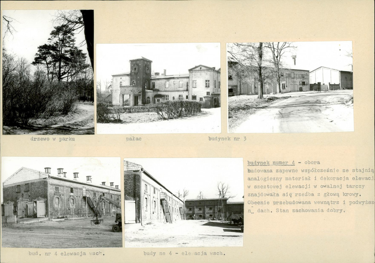 KB - Karta biała, skan nr 8