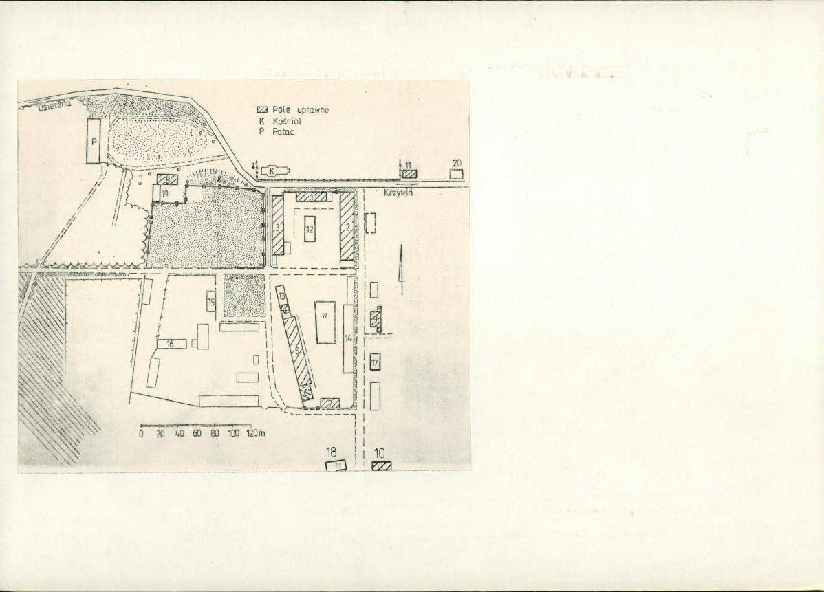 Karta biała, skan nr 6