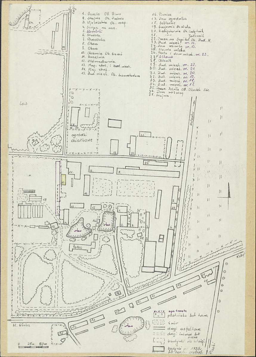 Karta biała, skan nr 6