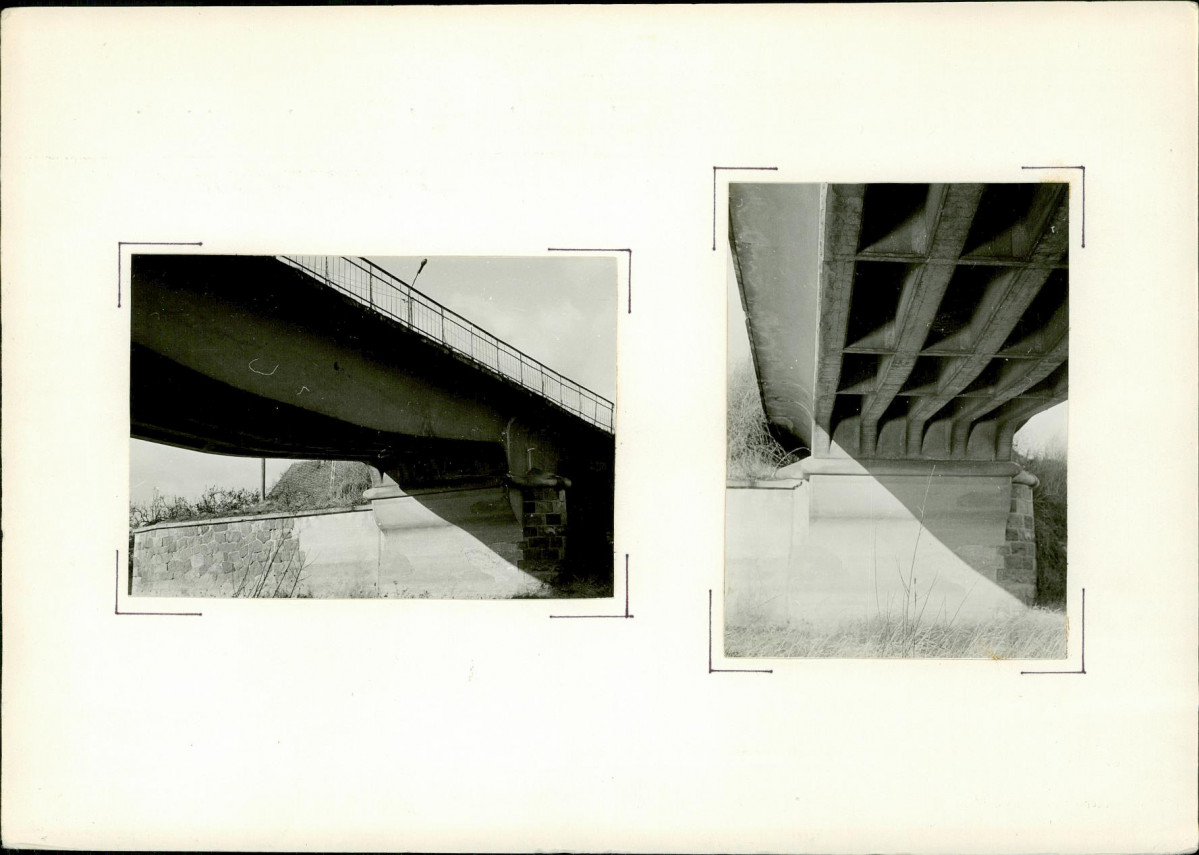 Karta biała, skan nr 6