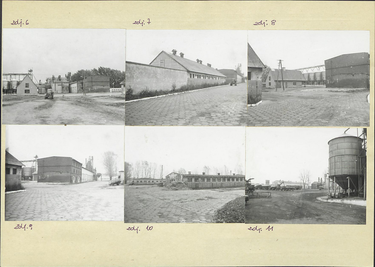 Karta biała, skan nr 6