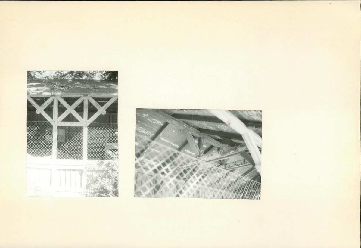 KB - Karta biała, skan nr 6