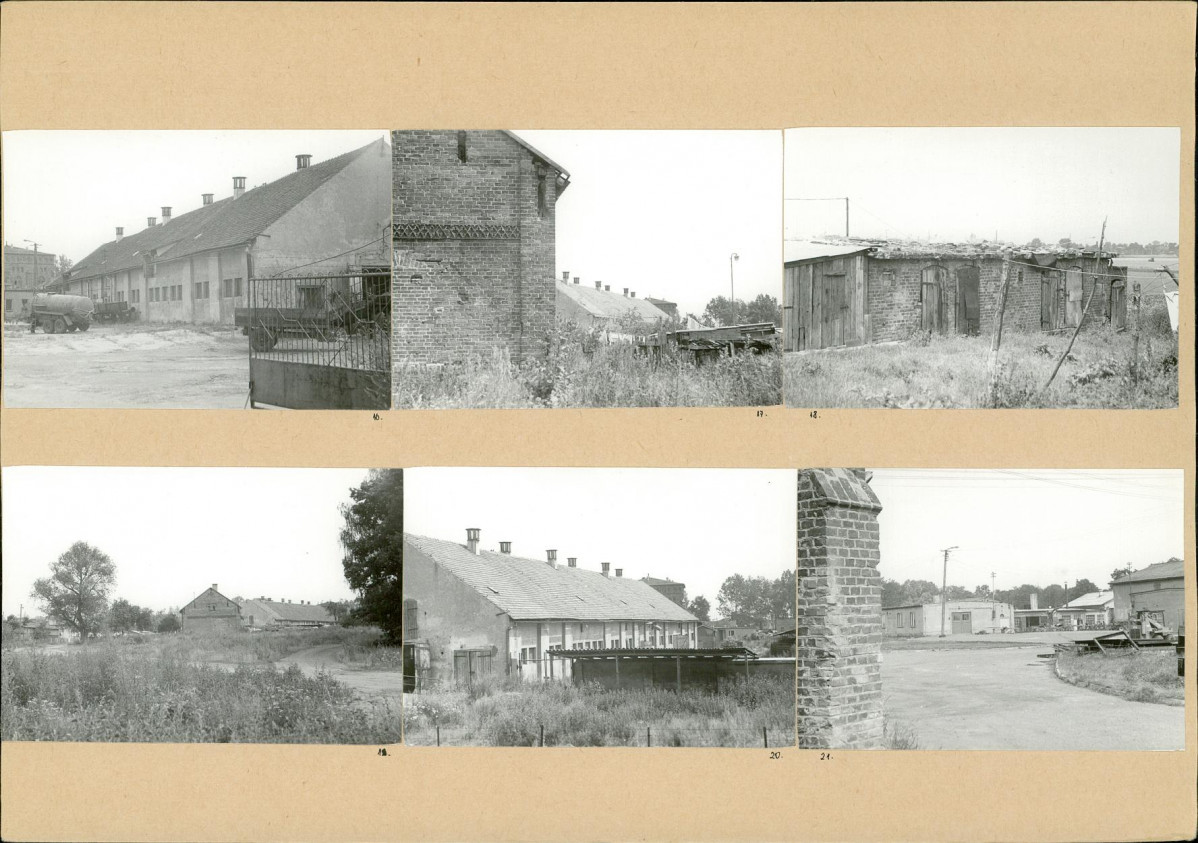 Karta biała, skan nr 8
