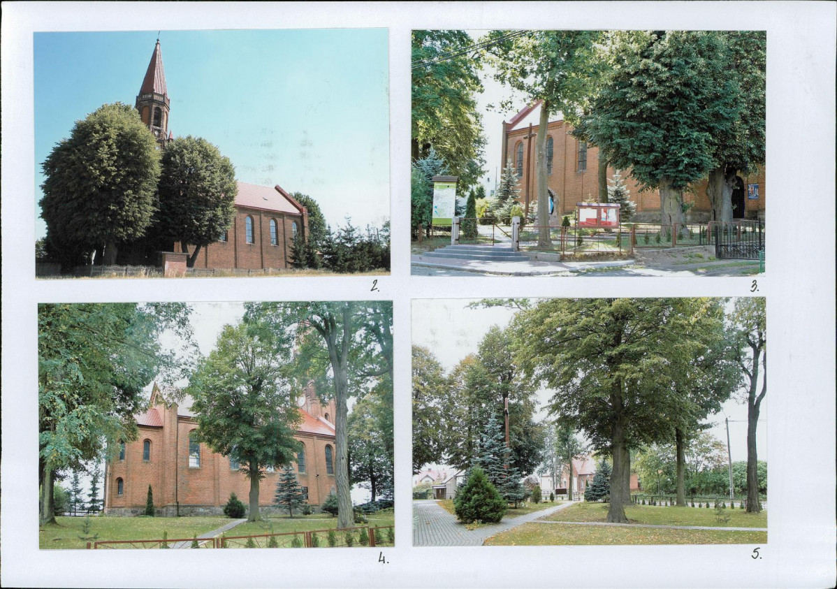 Karta biała, skan nr 6