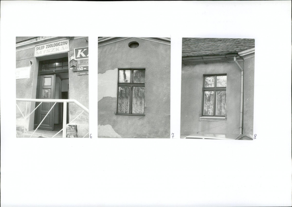 Karta biała, skan nr 8