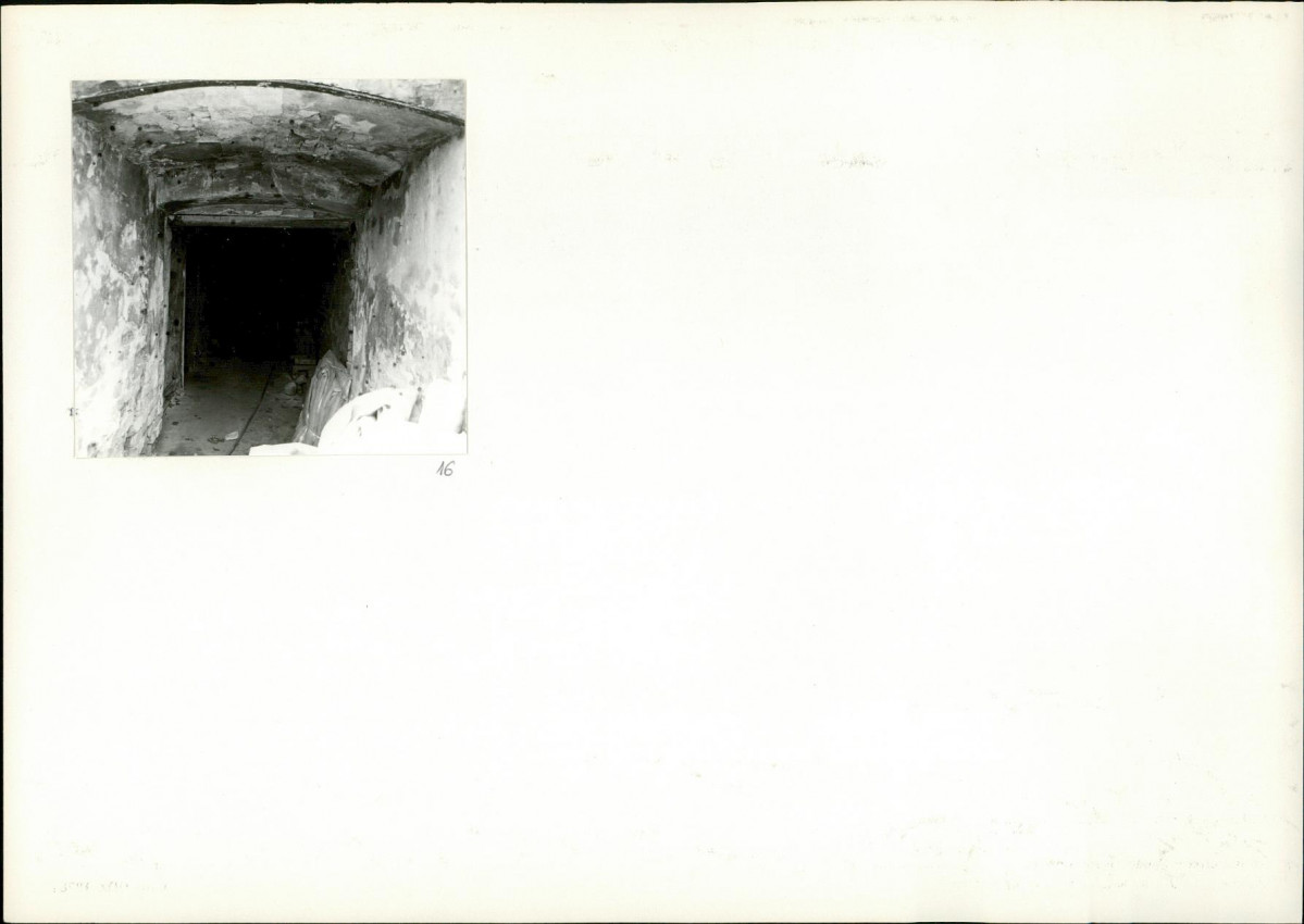 Karta biała, skan nr 16