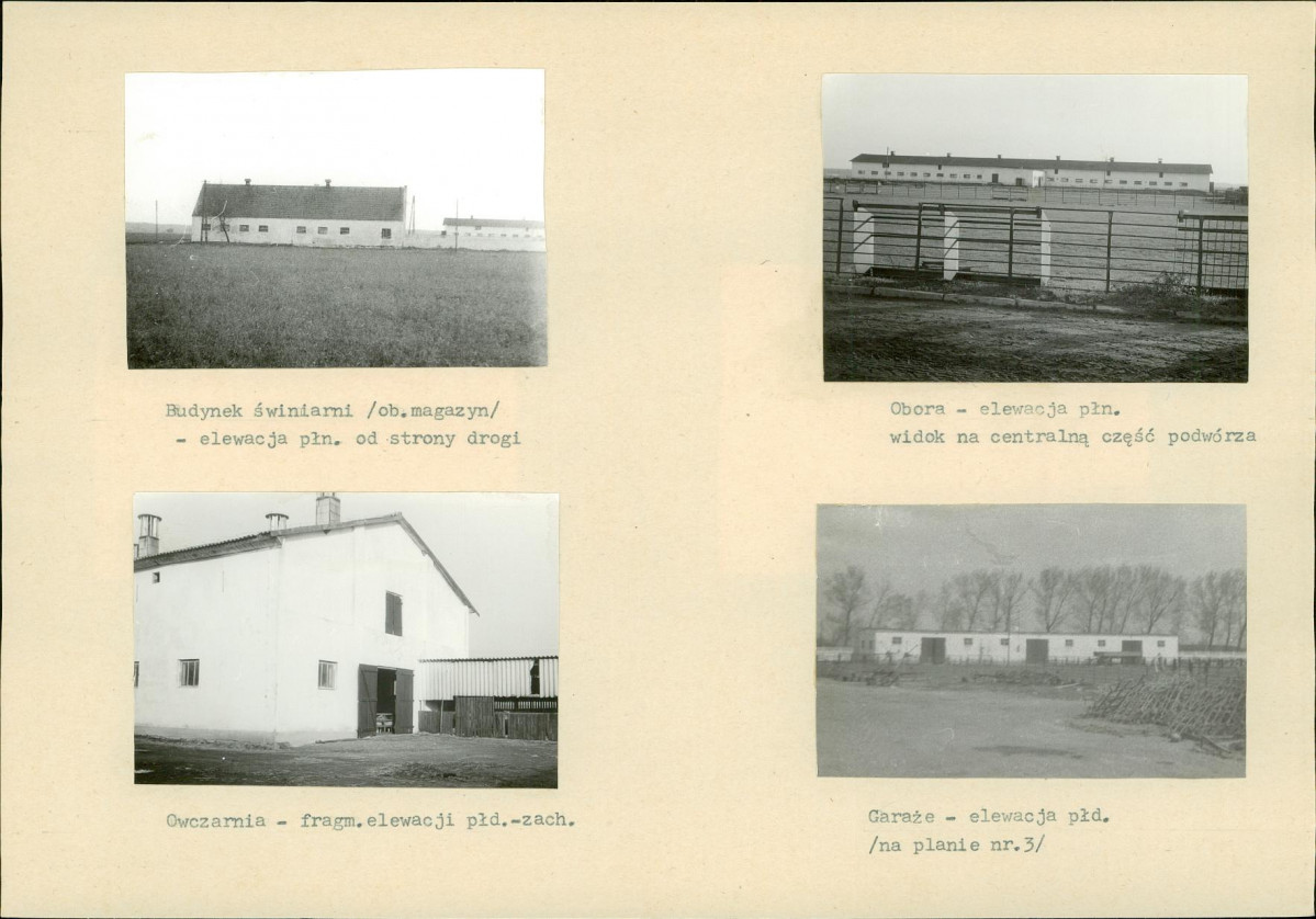 Karta biała, skan nr 8