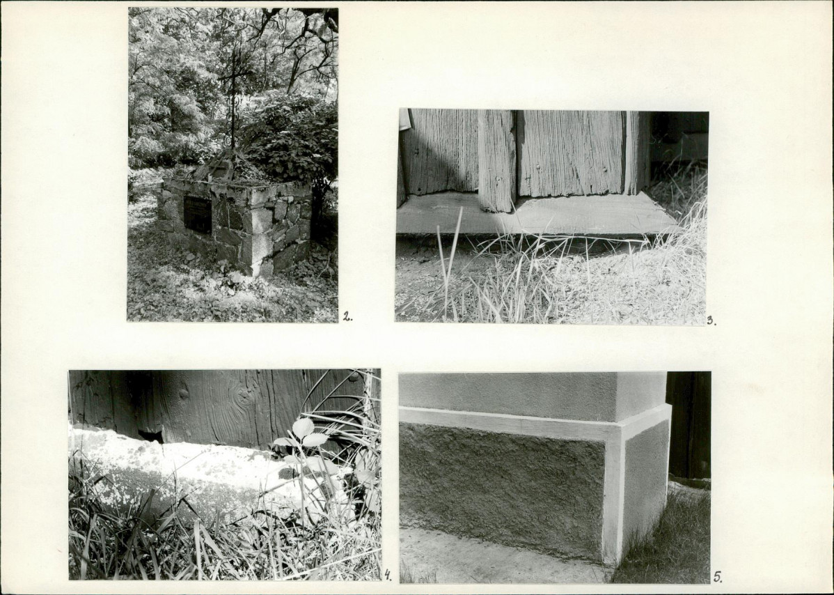 Karta biała, skan nr 6