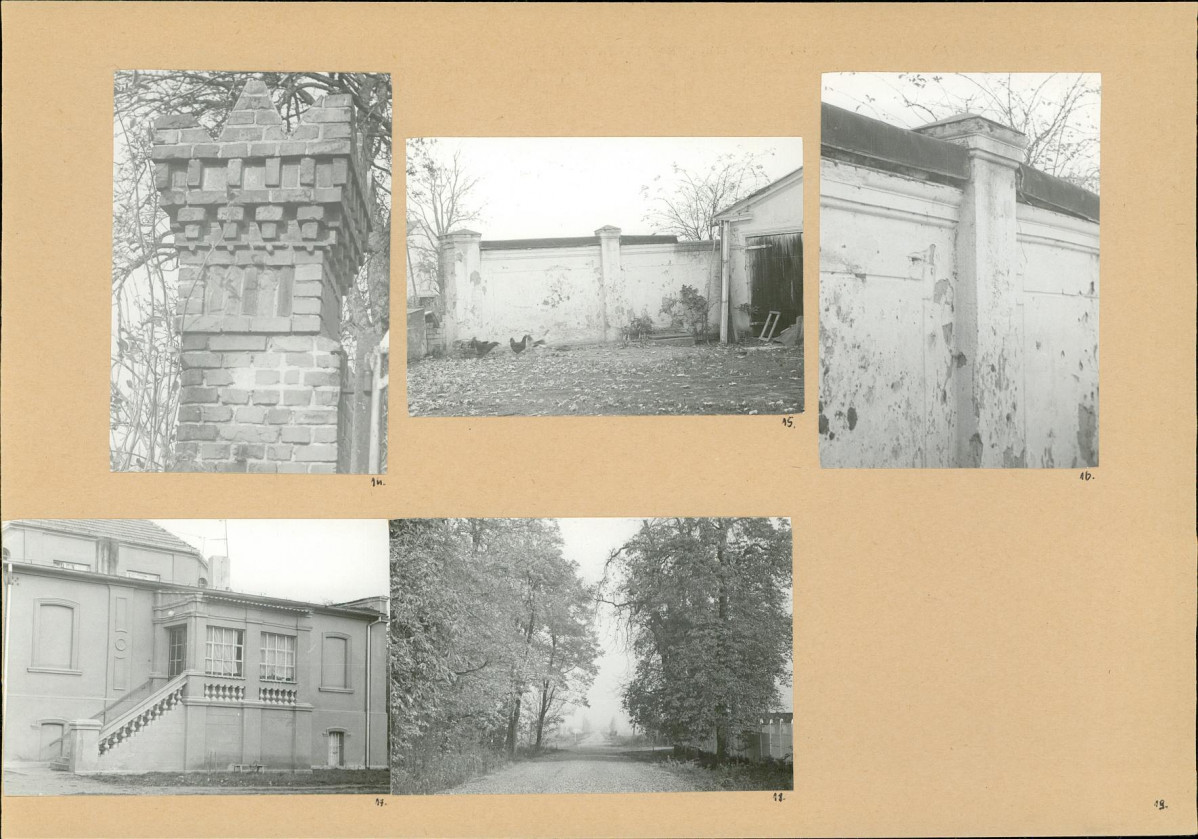Karta biała, skan nr 8