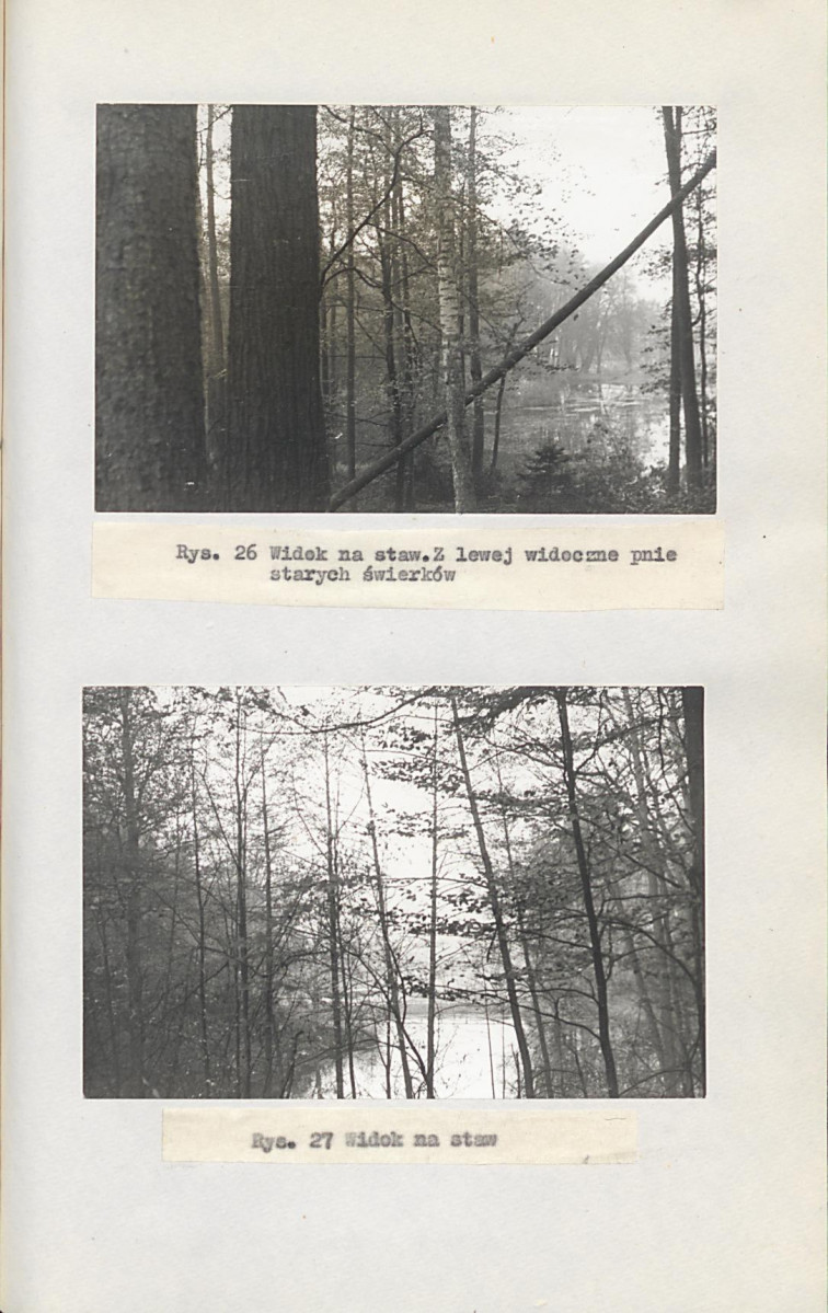 EP - Ewidencja parkowa, skan nr 46