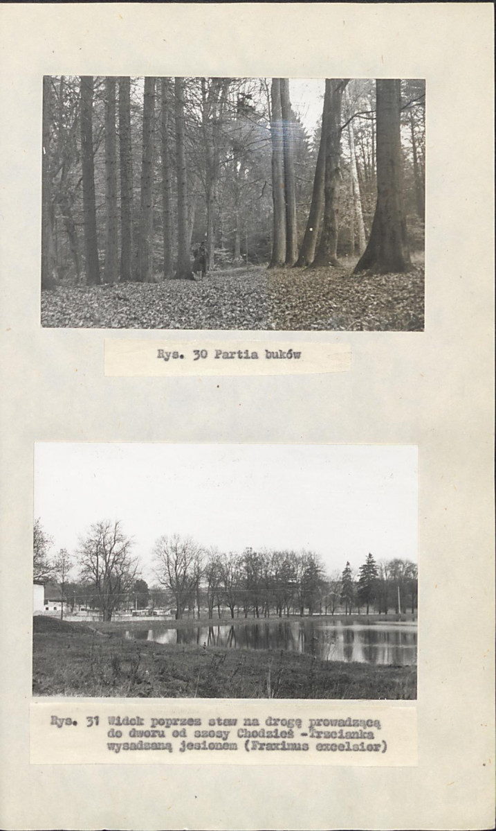 EP - Ewidencja parkowa, skan nr 48