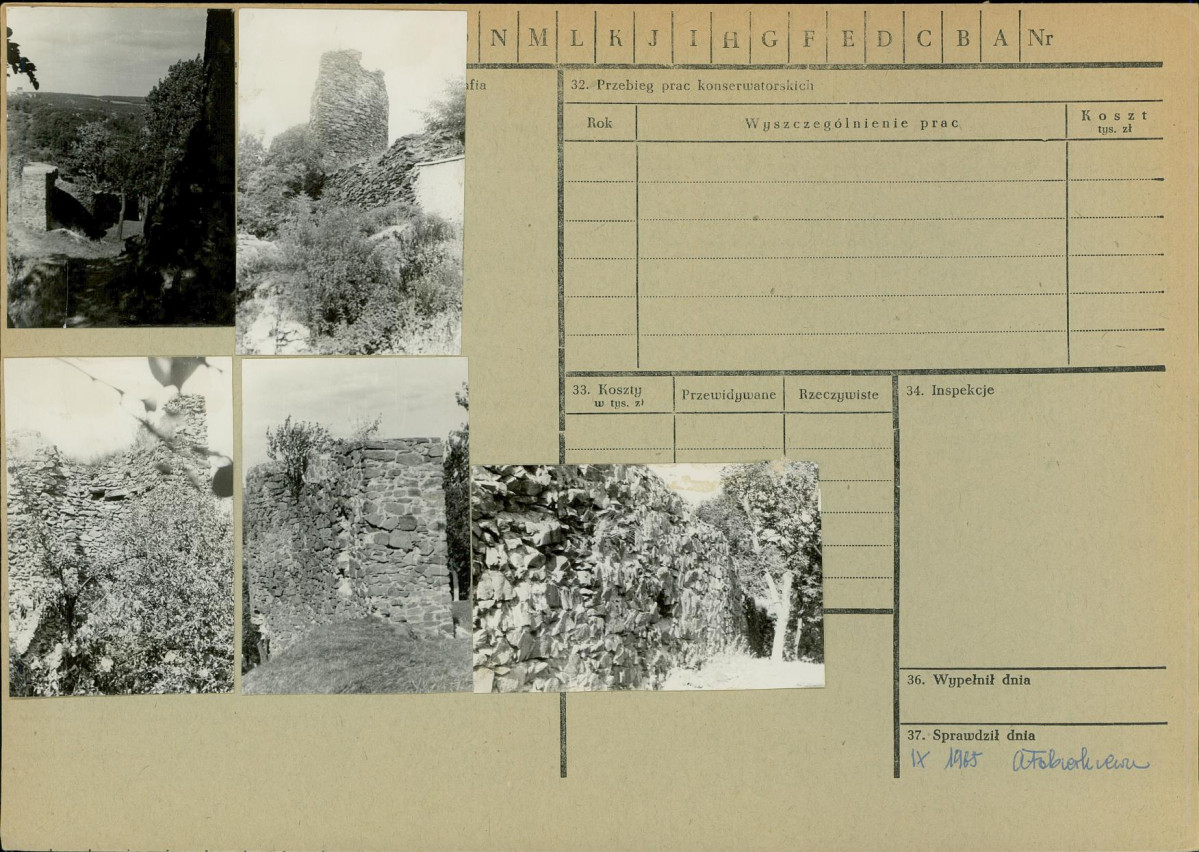 Karta zielona, skan nr 2