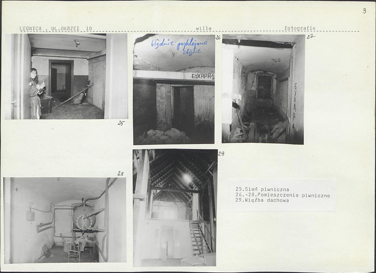 Karta biała, skan nr 11