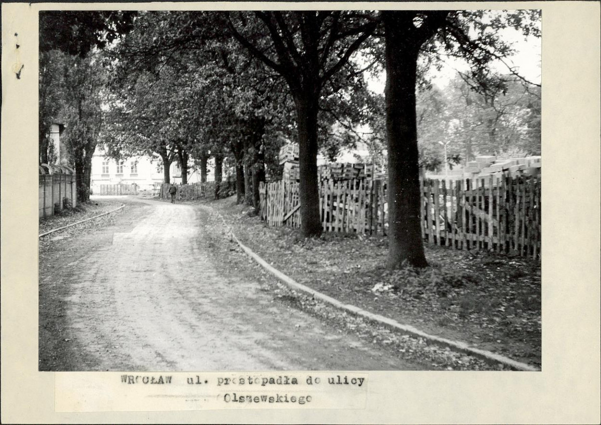 Ewidencja parkowa, skan nr 3