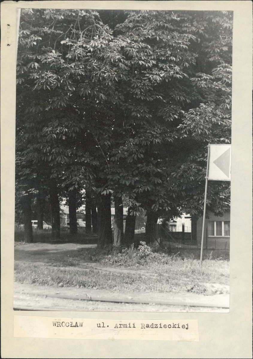 Ewidencja parkowa, skan nr 3