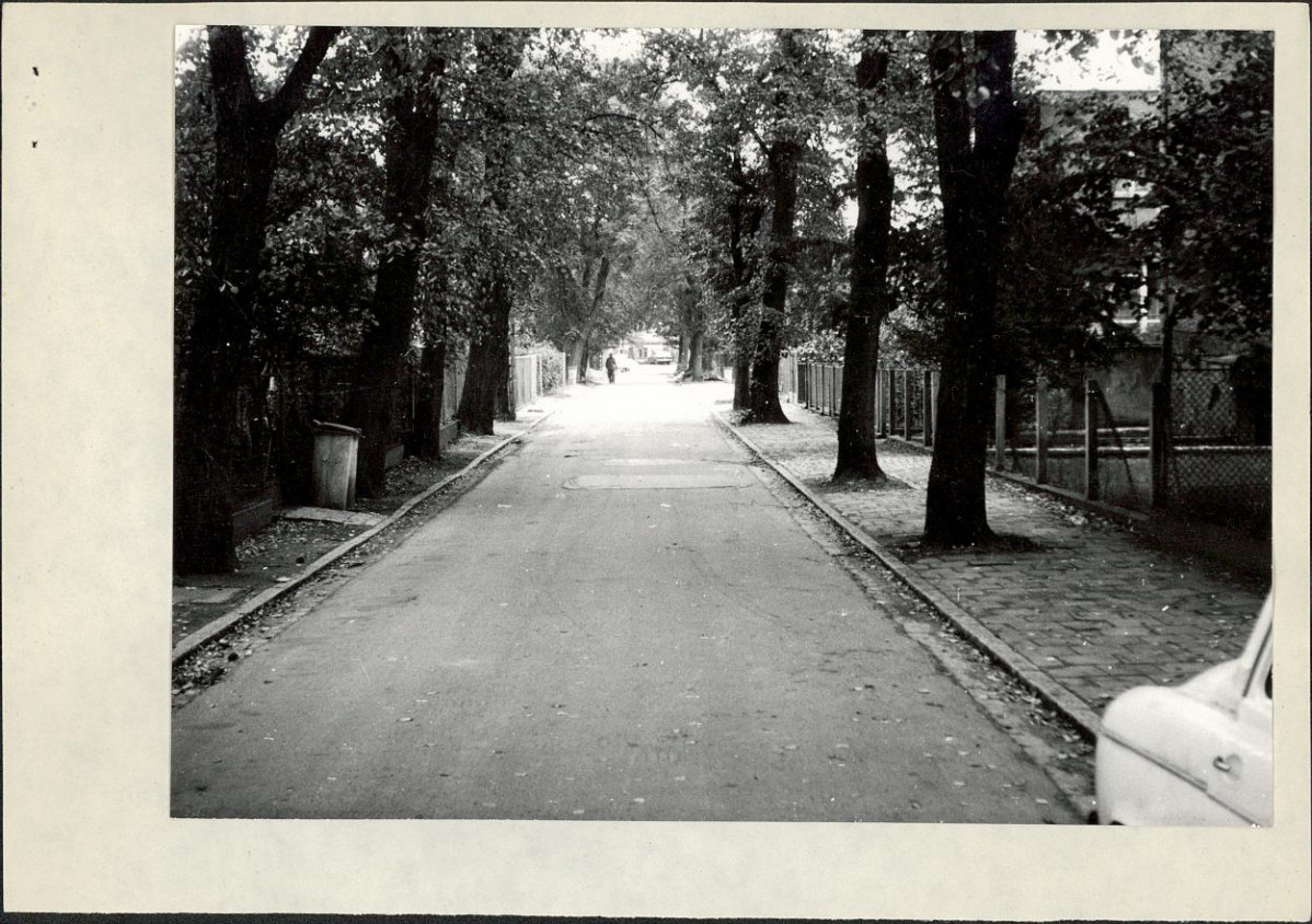 Ewidencja parkowa, skan nr 4