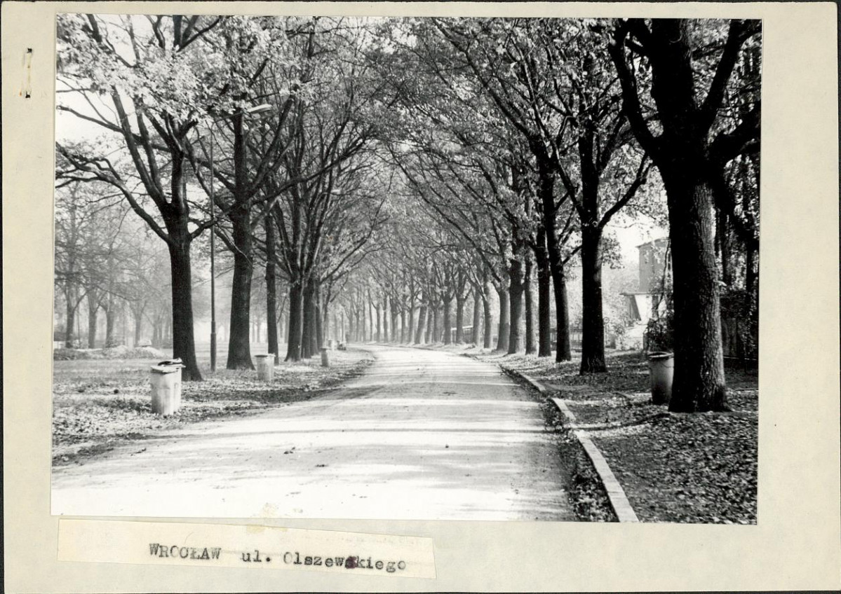 Ewidencja parkowa, skan nr 3