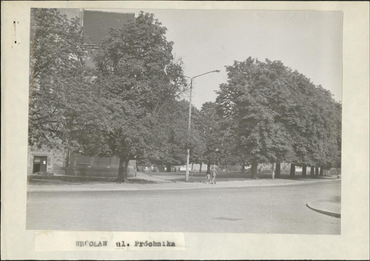 Ewidencja parkowa, skan nr 3