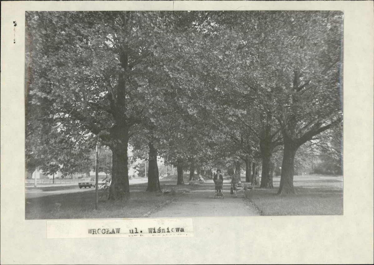 Ewidencja parkowa, skan nr 3