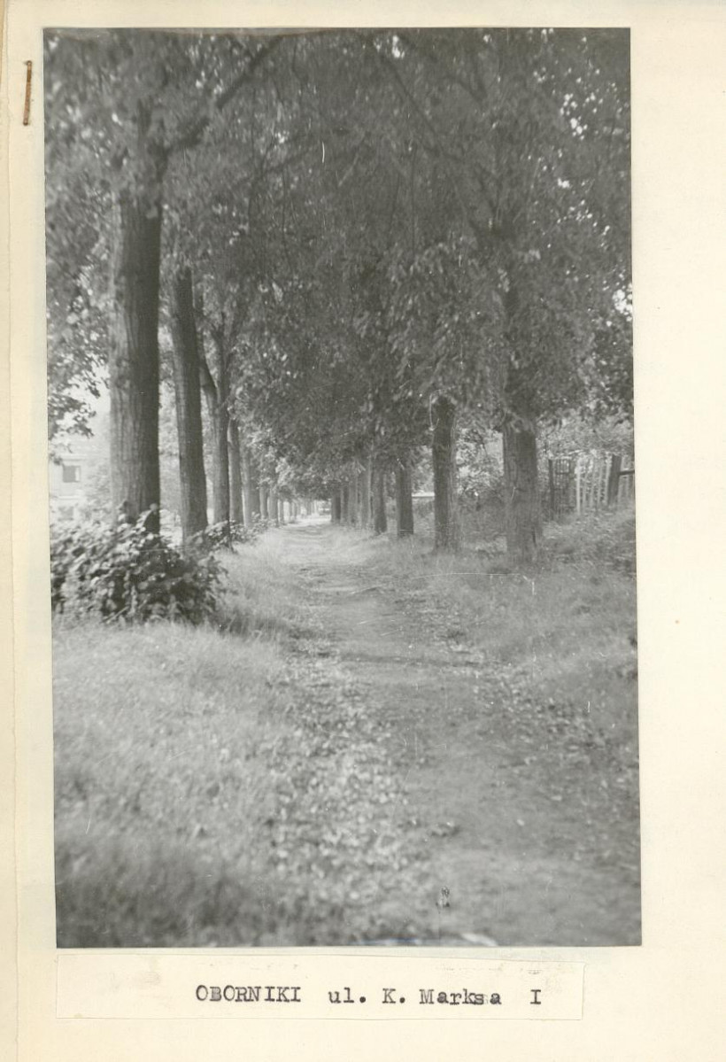 Ewidencja parkowa, skan nr 2
