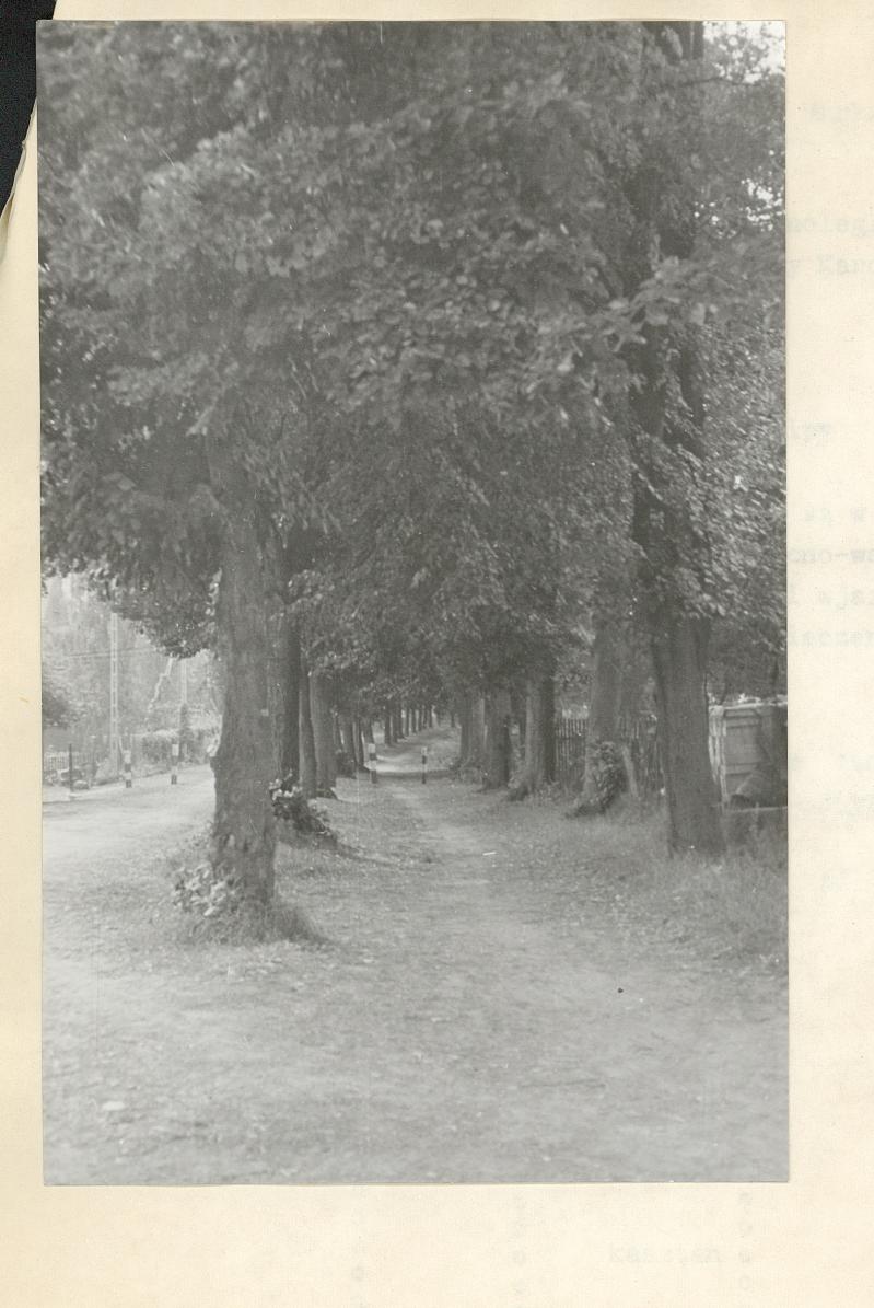 Ewidencja parkowa, skan nr 3