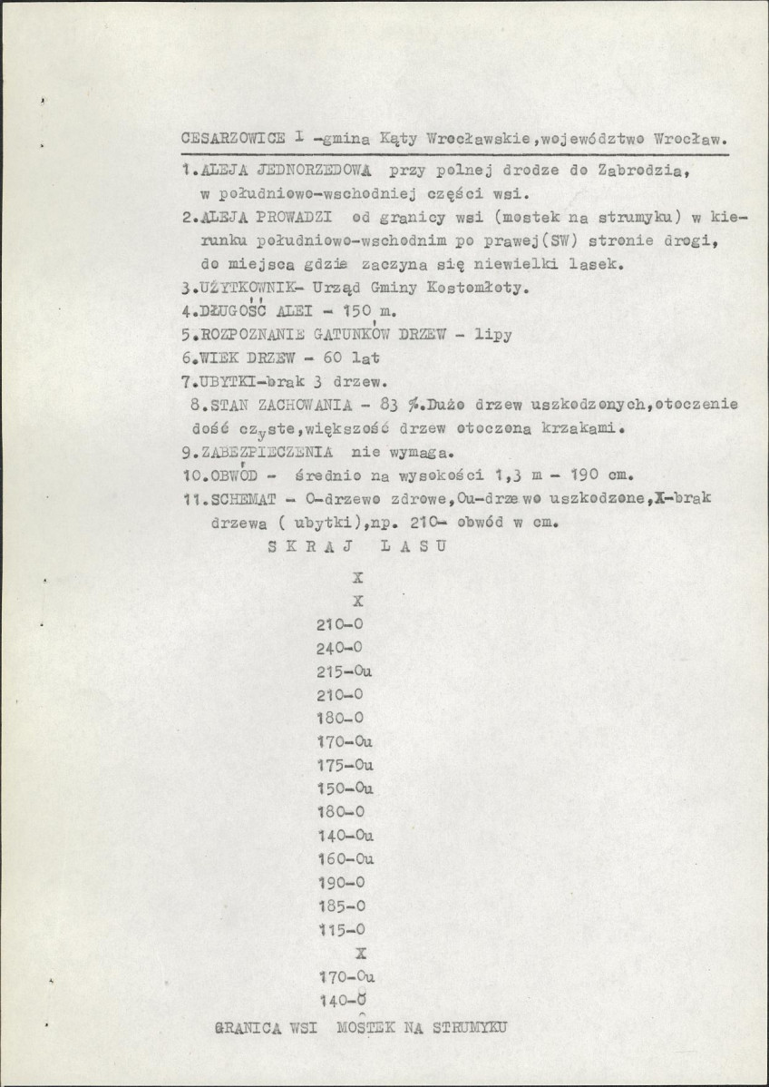 Ewidencja parkowa, skan nr 1