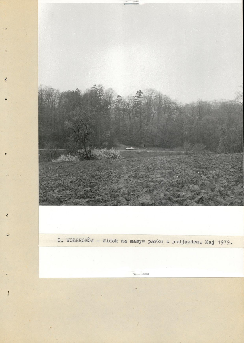 Ewidencja parkowa, skan nr 26