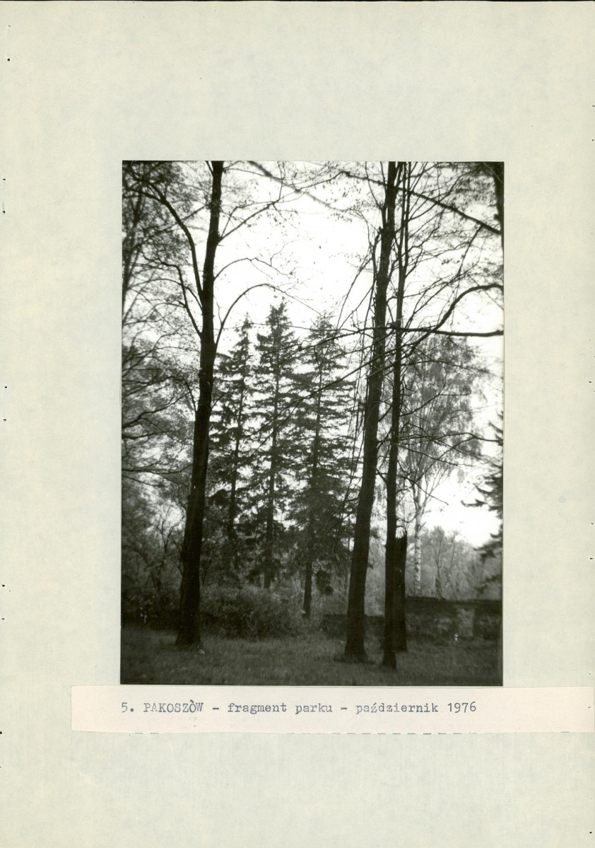 Ewidencja parkowa, skan nr 22