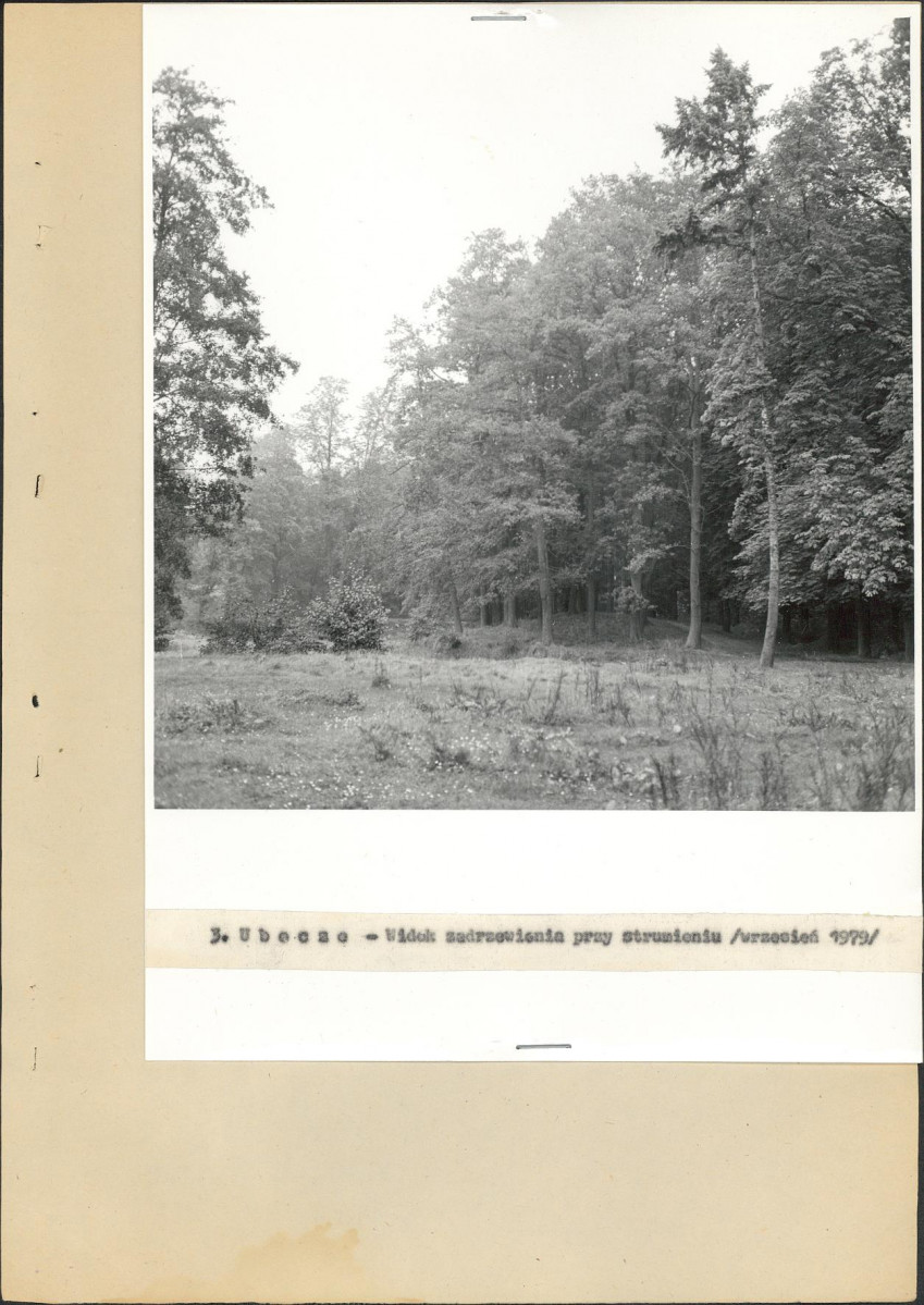 Ewidencja parkowa, skan nr 22