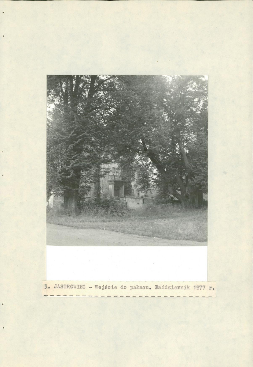 Ewidencja parkowa, skan nr 21
