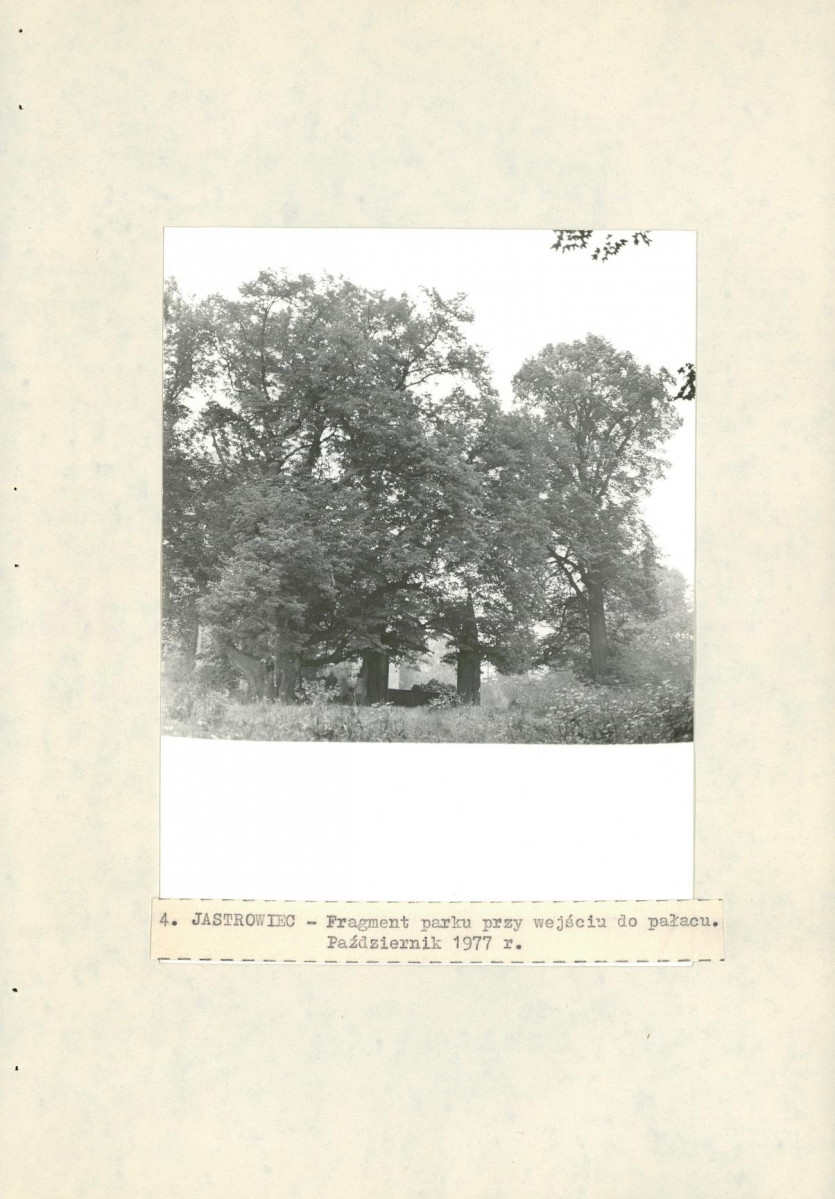 Ewidencja parkowa, skan nr 22