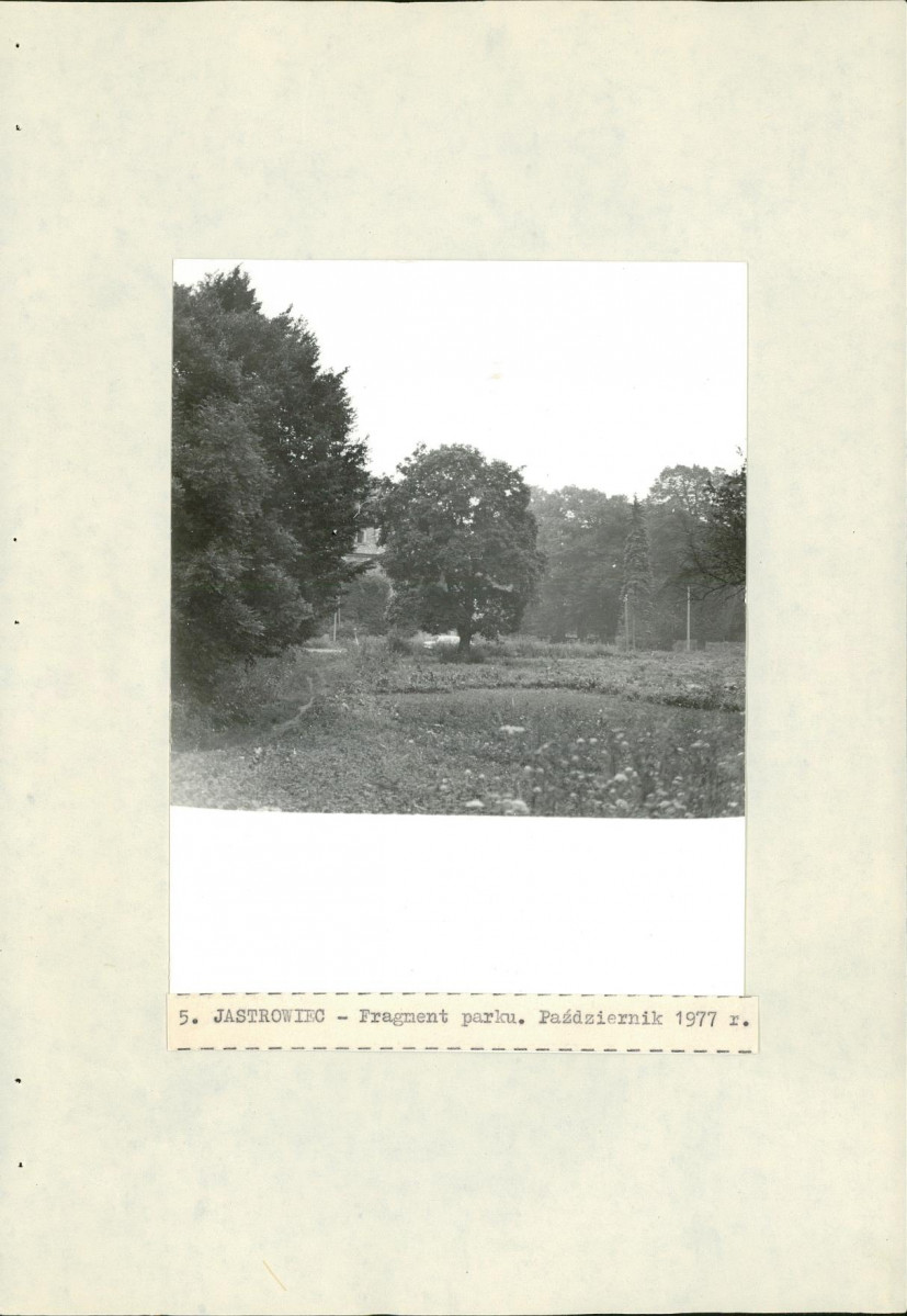 Ewidencja parkowa, skan nr 23