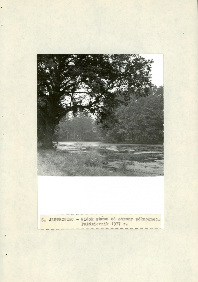 Ewidencja parkowa, skan nr 24