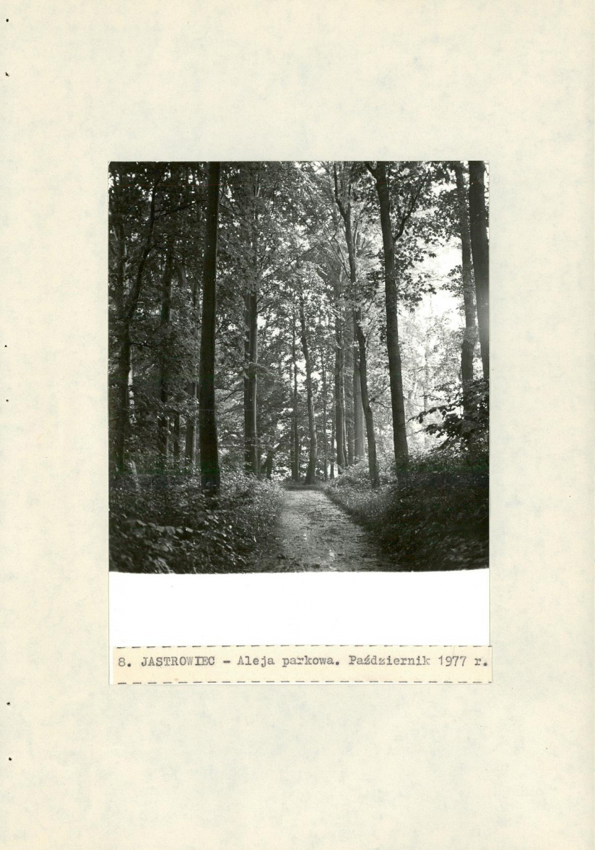 Ewidencja parkowa, skan nr 26