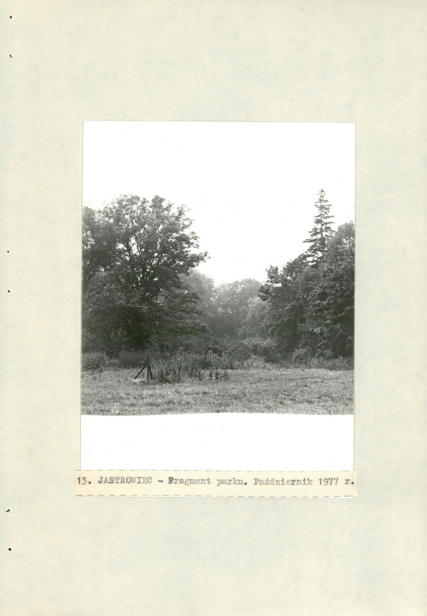 Ewidencja parkowa, skan nr 31