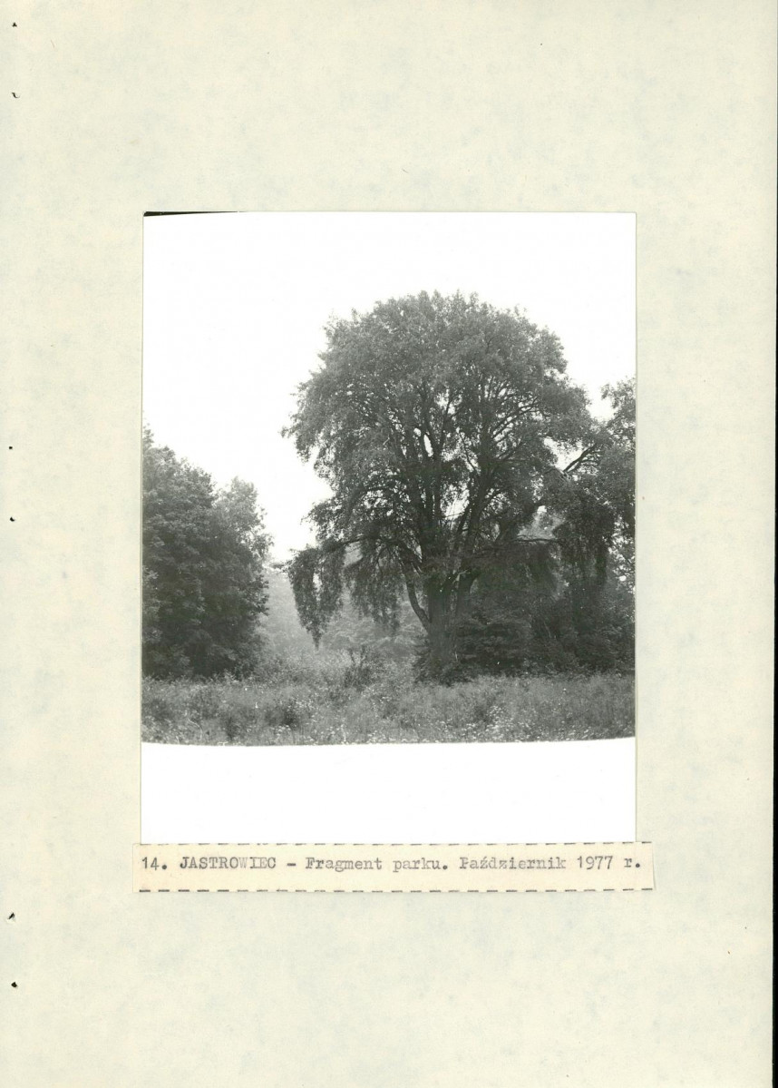 Ewidencja parkowa, skan nr 32